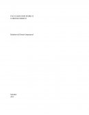 Relatório de Direito Empresarial Empresa MJA Comércio de Confecções