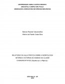 RELÁTORIO DA AULA PRÁTICA SOBRE A MORFOLOGIA INTERNA E EXTERNA DE ANIMAIS DA CLASSE CHONDRICHTHYES (Squalus sp. e Raja sp.)