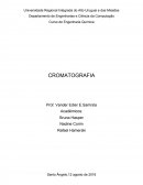 Curso de Engenharia Química CROMATOGRAFIA