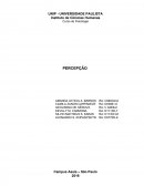 Trabalho apresentado para disciplina de Processos Psicológicos Básicos