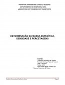 RELATÓRIO DE FENÔMENO DOS TRANSPORTES