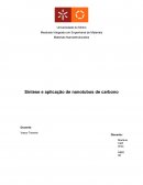 Síntese e aplicação de nanotubos de carbono