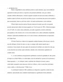 A RESPONSABILIDADE PENAL DO DIREITO DO MEIO AMBIENTE DAS PESSOAS FÍSICAS E DAS PESSOAS JURÍDICAS.