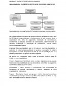 DESENVOLVIMENTO DE RECURSOS HUMANOS ORGANOGRAMA DA EMPRESA RECICLA BR SOLUÇÕES AMBIENTAIS.