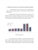 DADOS POPULACIONAIS E INCLUSÃO DIGITAL DE IDOSOS NO BRASIL