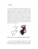 Introdução Sobre LSD