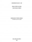 ENGENHARIA DE TRÁFEGO URBANO: A mobilidade urbana nas cidades