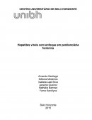 Hepatites virais com enfoque em penitenciária feminina