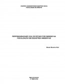 RESPONSABILIDADE CIVIL DO ESTADO POR OMISSÃO NA FISCALIZAÇÃO EM DESASTRES AMBIENTAIS
