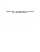 Sociologia do Direito, Filosofia, Introdução ao estudo do Direito, Teoria geral do Estado e Direito Constitucional.