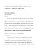 A PERCEPÇÃO DOS PROFESSORES E PROFISSIONAIS DAS CIÊNCIAS CONTÁBEIS ACERCA DOS BENEFÍCIOS ADVINDOS DA APLICAÇÃO DA LEI SARBANES-OXLEY ÀS ORGANIZAÇÕES BRASILEIRAS