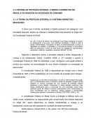 O SISTEMA DE PROTEÇÃO INTEGRAL: O MODELO NORMATIVO NO BRASIL E OS DESAFIOS DA SOCIEDADE DE CONSUMO