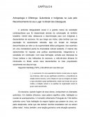 Antropologia e Diferença: Quilombola e Indígenas na Luta pelo Reconhecimento do seu Lugar no Brasil dos (Des)iguais.