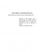 Relação Existente entre Gestão Ambiental e Responsabilidade Social