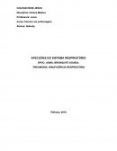 AFECÇÕES DO SISTEMA RESPIRATÓRIO DPOC; ASMA; BRONQUITE AGUIDA; PNEUMONIA; INSUFICIÊNCIA RESPIRATÓRIA