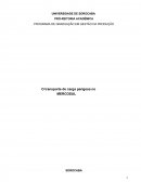 Ética Ambiental - O transporte de carga perigosa no MERCOSUL