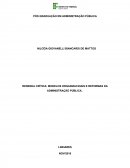 RESENHA CRÍTICA: MODELOS ORGANIZACIOAIS E REFORMAS DA ADMINISTRAÇÃO PÚBLICA.