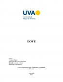 Analise Histórica da Dove