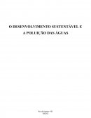 Ensaio crítico sobre a Desenvolvimento sustentável e a poluição das águas