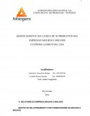 GERENCIAMENTO DA CADEIA DE SUPRIMENTOS DAS EMPRESAS MOLHOS E MOLHOS CUZINERO ALIMENTOS LTDA