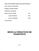 OS MEIOS ALTERNATIVOS EM TRANSPORTE