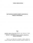 INSTITUIÇÕES DE DESENVOLVIMENTO, BUROCRACIA E TRABALHO PROFISSIONAL