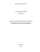 TRABALHO DE TRATAMENTO DE SUPERFÍCIES METÁLICAS REVESTIMENTOS NÃO-METÁLICOS INORGÂNICOS