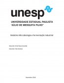 Relatório Microbiologia e Fermentação Industrial