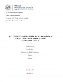 ESTUDO DE VIABILIDADE TÉCNICA E ECONÔMICA DE UMA UNIDADE DE PRODUÇÃO DE ACETATO DE VINILA