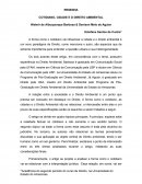 RESENHA - COTIDIANO, CIDADE E O DIREITO AMBIENTAL