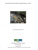 Estudo da Poluição dos Recursos Hídricos por Rejeitos Domésticos e Agrícolas.