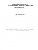 LEVANTAMENTO DA RELAÇÃO CUSTO X BENEFÍCIO DOS PROJETOS MINHA CASA MINHA VIDA EM UNIDADES UNIFAMILIARES