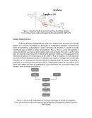 Representação da estrutura química da amilose (amido)