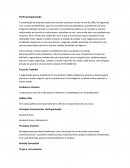 Perfil Organizacional: A constituição da empresa através do contrato social