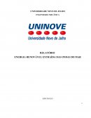 Relatório para definição de trabalho Uninove