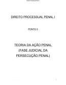 TEORIA DA AÇÃO PENAL (FASE JUDICIAL DA PERSECUÇÃO PENAL)