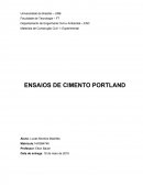 Relatório de cimento Portland