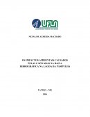 OS IMPACTOS AMBIENTAIS CAUSADOS PELAS CAPIVARAS NA BACIA HIDROGRÁFICA NA LAGOA DA PAMPULHA