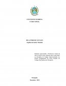 Relatório apresentado a Professora Ariana da Silva Ferreira como requisito para a aprovação na disciplina de Estágio Supervisionado em Ensino Fundamental