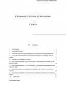 EQUAÇÕES CURVAS DE DESLOCAMENTO (S) E VELOCIDADE (V) PARA CADA TRECHO