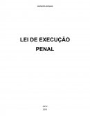 LEI DE EXECUÇÃO PENAL E SUA APLICABILIDADE