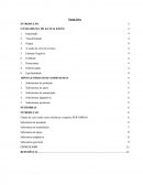 Estudo de Caso na Empresa Petrobras