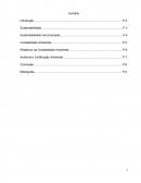 Relatórios da Contabilidade Ambiental: Contabilidade e Sustentabilidade