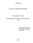 Projeto Integrador I Empresa investigada: Procter & Gamble Industrial e Comercial LTDA