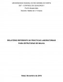 RELATÓRIO REFERENTE ÀS PRÁCTICAS LABORATORIAIS PARA ESTRUTURAS DE MALHA