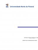 A DELIMITAÇÃO E FORMULAÇÃO DO PROBLEMA