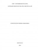 ATIVIDADE DESENVOLVIDA PELO GRUPO DA APS CONSTITUIÇÃO FEDERAL BRASILEIRA