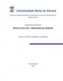 O Projeto de Ação