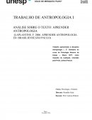 ANÁLISE SOBRE TEXTO DE LAPLANTINE: APRENDER ANTROPOLOGIA