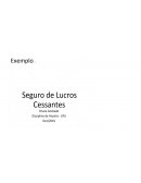 Seguro de Lucro Cessante